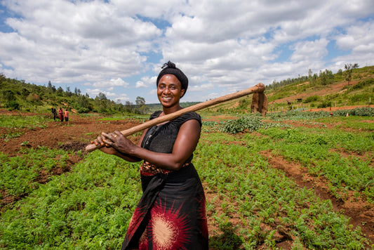 Vegetable Seeds (30 acres)